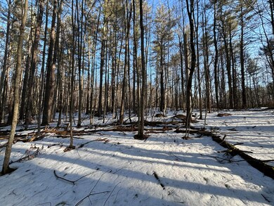 0 Webbs Mills Rd, Raymond, ME 04071 - photo 3