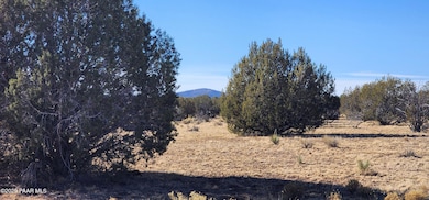 251 Se4 Juniperwood Ranch, Ash Fork, AZ 86320 - photo 7