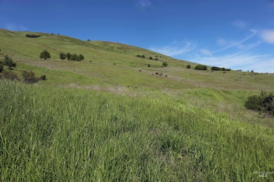TBD Sunnyside Bench Rd, Lenore, ID 83541 - photo 2