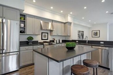 12 Ackers Ave unit 12, Brookline, MA 02445 - photo 4