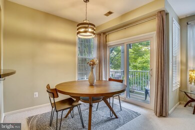 4679 Longstreet Ln unit 101, Alexandria, VA 22311 - photo 7