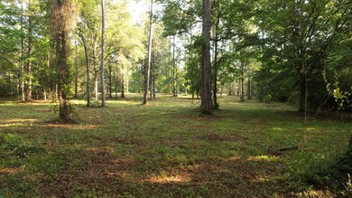 000 Perrott Rd, McComb, MS 39648 - photo 4