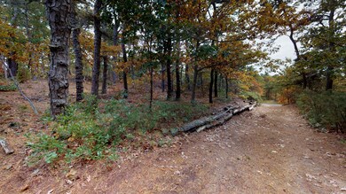 20 Quail Ridge Rd, Truro, MA 2666 - photo 3