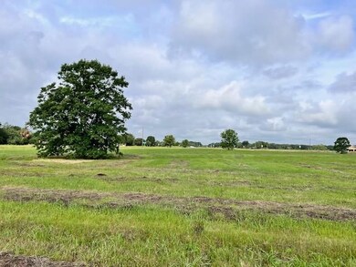 9820 S Us Highway 287, Corsicana, TX 75109 - photo 3