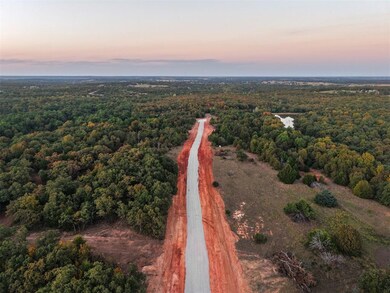 Drone / aerial view of a forest