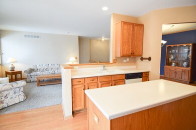 12244 Pear Tree Way, Plainfield, IL 60585 - photo 6