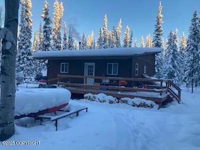 Large Back Deck