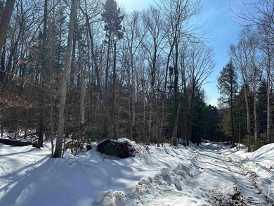 360 Dorman Rd, Andover, VT 05143 - photo 6