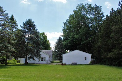 Large Backyard