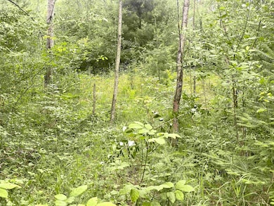 0 W Miller Rd unit 50168811, Mio, MI 48647 - photo 6