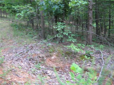 17039 Bethlehem Rd, Winslow, AR 72959 - photo 7