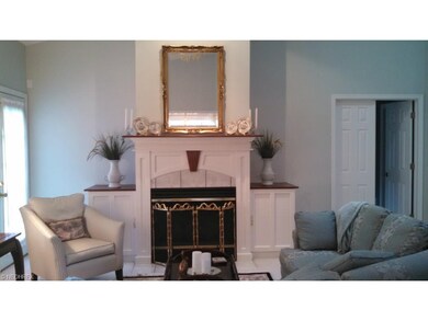 Living Room w/ fireplace
