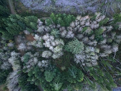 0 Wright Creek Rd, Toledo, OR 97366 - photo 7