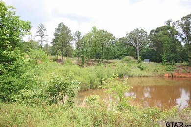 16931 County Road 2203, Arp, TX 75750 - photo 6