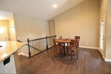 117 Dode Dr, Downs, IL 61736 - photo 7