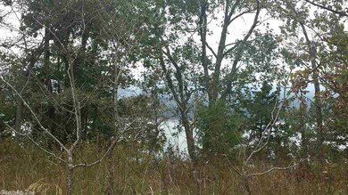 Lot 1 just needs a few trees cut down.