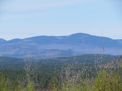 LamphierLand 006