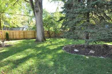 View of Backyard