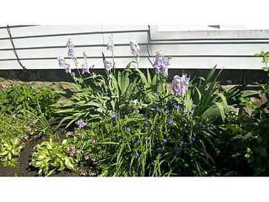 Yard/Garden