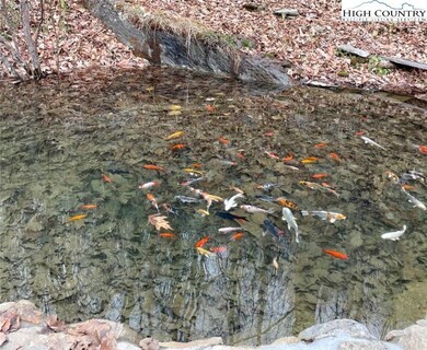 360 Caseys Gap Rd, Banner Elk, NC 28604 - photo 7