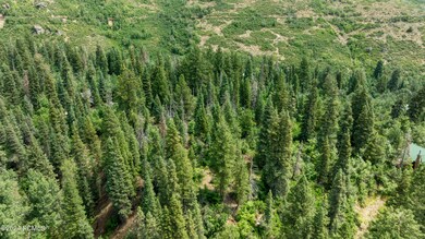 1722067333159_1722022544118dji0872