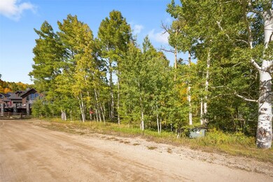 0045 Cr 1232, Silverthorne, CO 80498 - photo 4