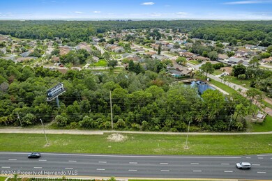 1-web-or-mls-DJI_0248