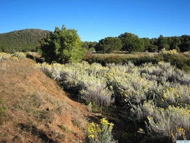 XX Linda Dr, Silver City, NM 88061 - photo 3