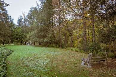 Park-like yard