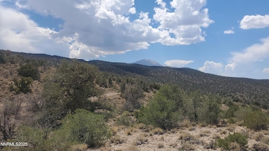 T5N R28E S5 Lucky Boy Pass Rd, Walker Lake, NV 89415 - photo 2