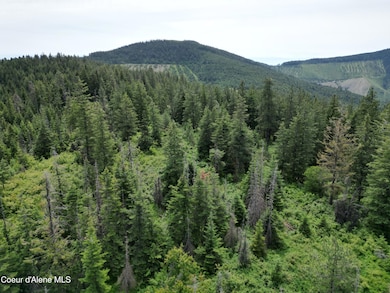 Ridge line
