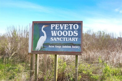 TBD Ocean Ave unit Block 6 Lot 18, Johnsons Bayou, LA 70631 - photo 6