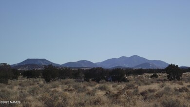 DSCF6783