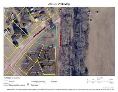 112 Diamond Branch Rd, Johnsonville, SC 29555 - photo 2