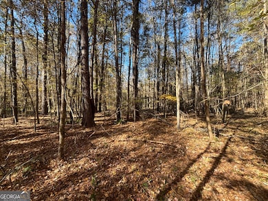 0 Oconee Rd Lot 6, Buckhead, GA 30625 - photo 7