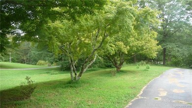 Magnificent trees, Magnolias, Japanese Maples, Wee