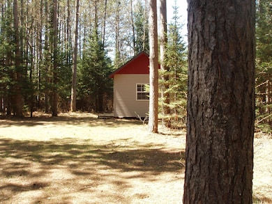 79879 Hinz Rd, Glidden, WI 54527 - photo 4