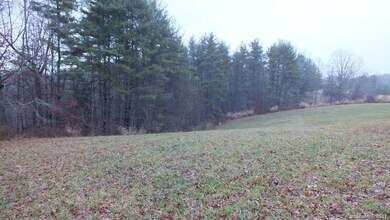 5.25 Acres Bull Creek Rd, Mars Hill, NC 28754 - photo 7