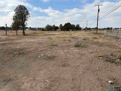 2003 Standpipe Rd, Carlsbad, NM 88220 - photo 4