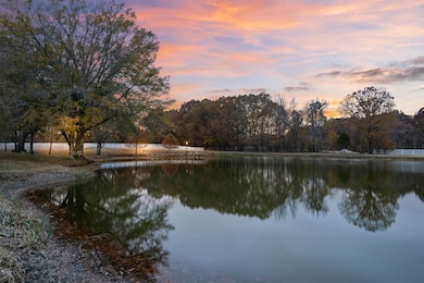 10600 Sparkle Creek Cove, Eads, TN 38028 - photo 6