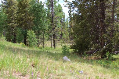 TBD Glacier Ridge Rd, Alma, CO 80420 - photo 5