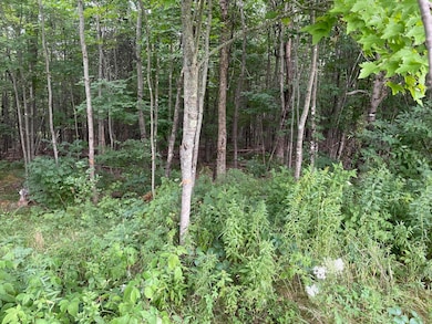LOT# Bemis Rd, Harmony, ME 04942 - photo 4