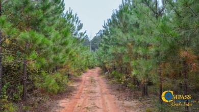 0 Dawkins Rd, Pacolet, SC 29372 - photo 4