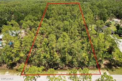 0 6th Ave NE unit 225075359, Naples, FL 34120 - photo 3