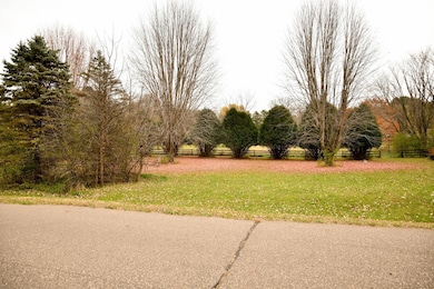 Natural private tree lined for privacy