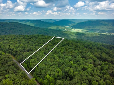 00 Jackson Point Rd, Sewanee, TN 37380 - photo 3