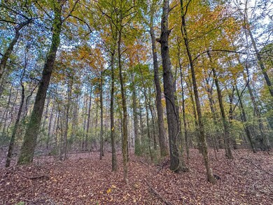 0 County Rd 95, Lafayette, AL 36862 - photo 4