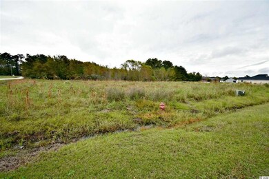 TBD Fox Chase Dr, Conway, SC 29527 - photo 3