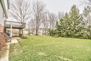 Table Top LEVEL Rear Yard backing to Trees