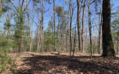 000 Flagpole Rd, Ellijay, GA 30540 - photo 5